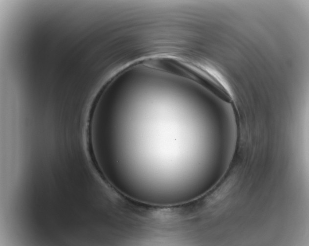 X0000089891093200707051224