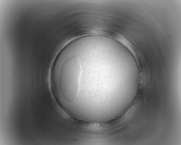 X0000089891098200707051224