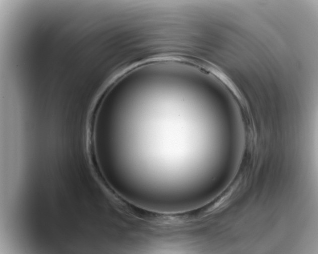 X0000089891101200707051224