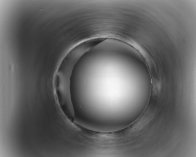 X0000089891102200707051224