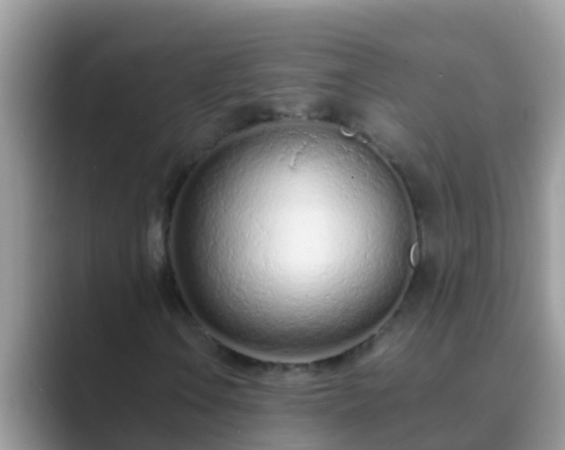 X0000089891106200707051223