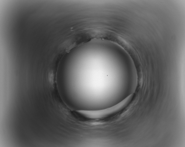 X0000089891108200707051223