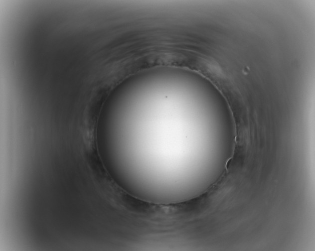 X0000089891109200707051223