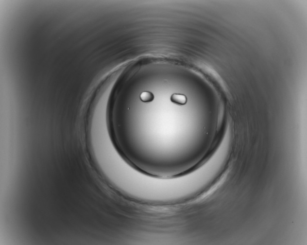 X0000089891114200707051223