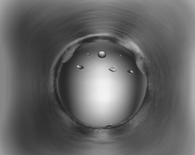 X0000089891116200707051223