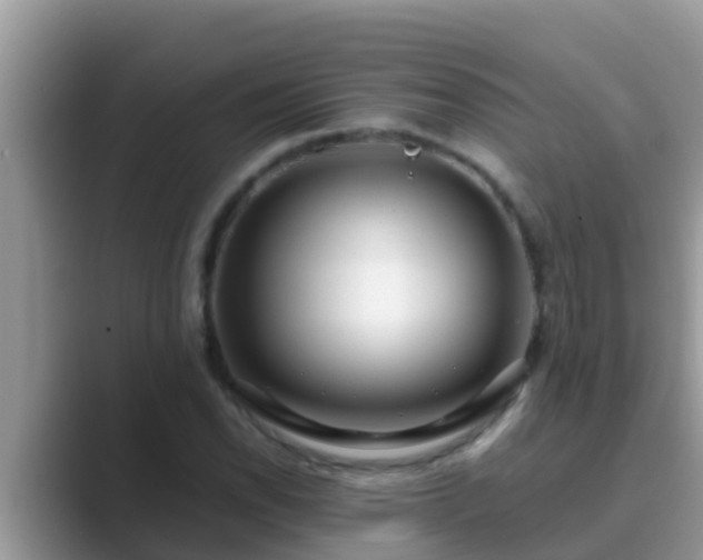 X0000089891118200707051223