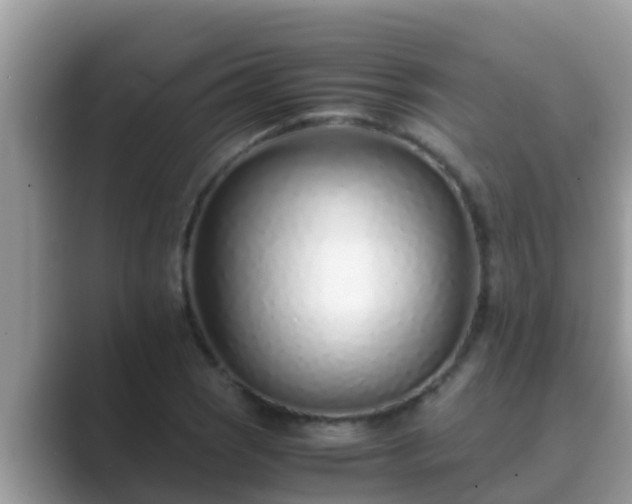 X0000089891121200707051223