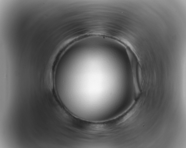 X0000089891123200707051223