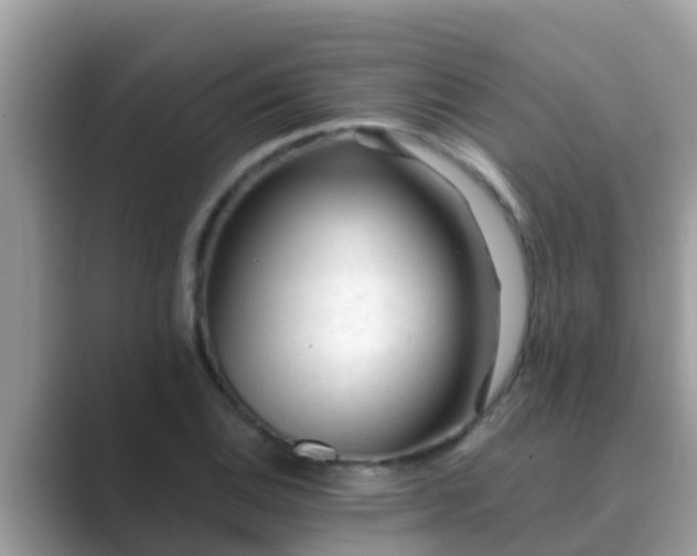 X0000089891124200707051223