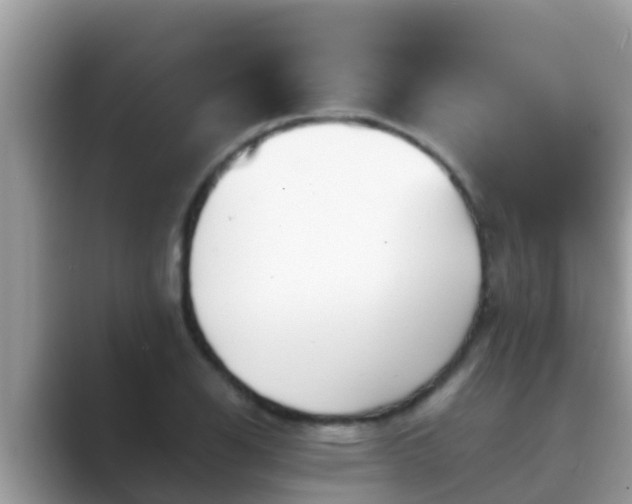 X0000089891126200707051223