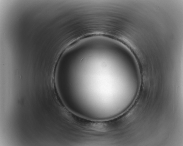 X0000089891129200707051223