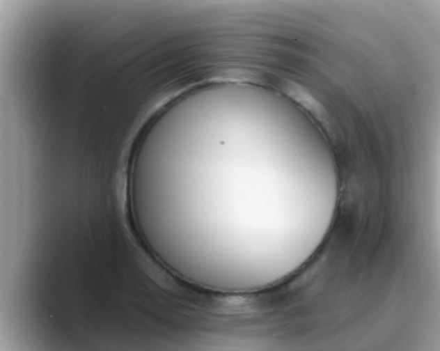 X0000089891130200707051223