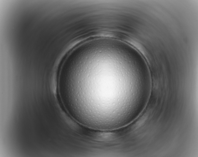 X0000089891131200707051223