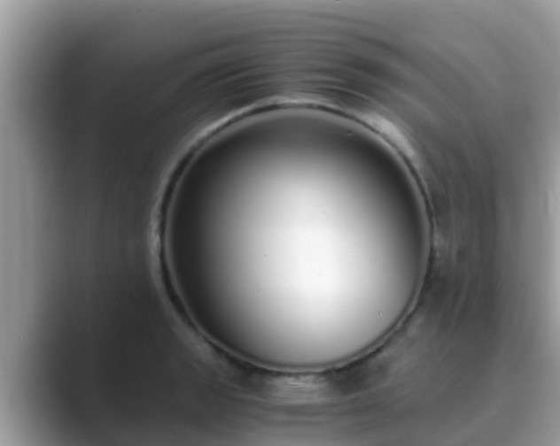 X0000089891133200707051223