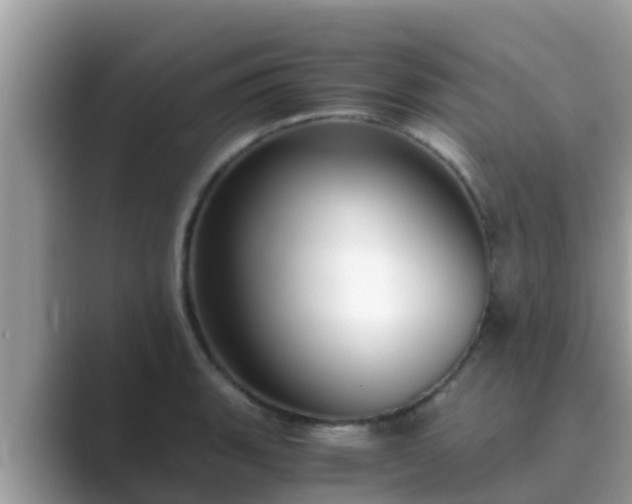 X0000089891135200707051223