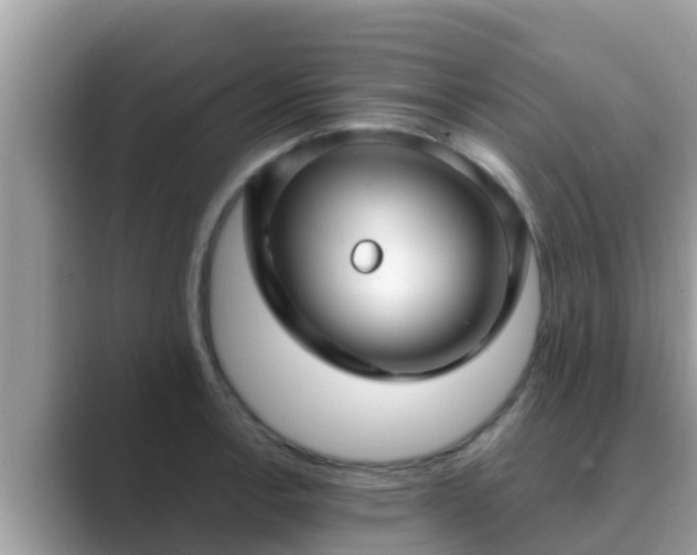 X0000089891138200707051223