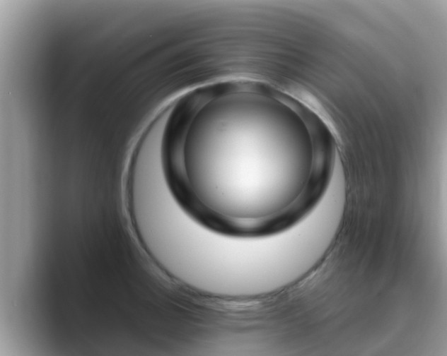 X0000089891140200707051223