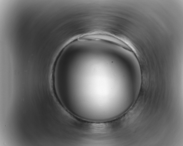 X0000089891142200707051223