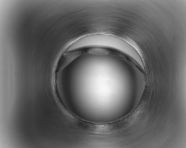 X0000089891144200707051223