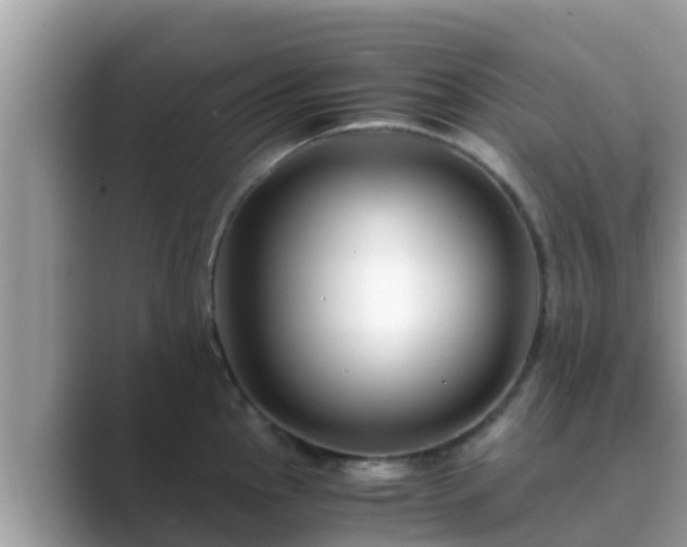 X0000089891145200707051223