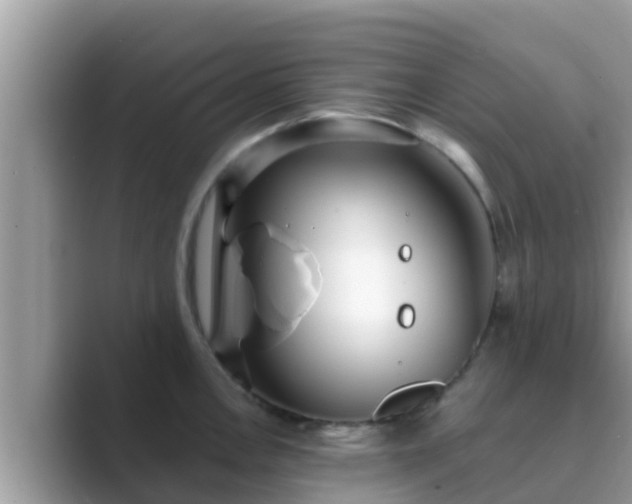 X0000089891146200707051224