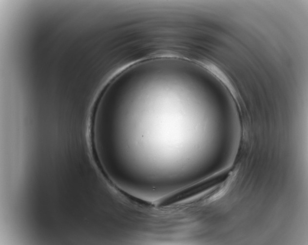 X0000089891149200707051224