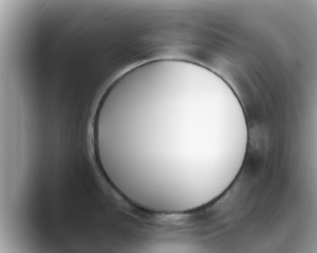 X0000089891150200707051224