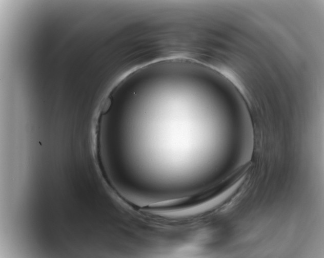 X0000089891151200707051224