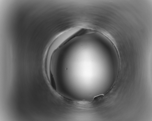 X0000089891152200707051224