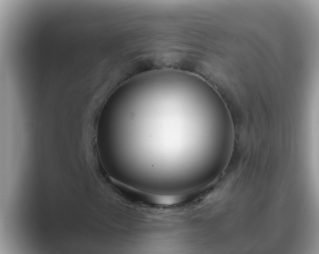 X0000089891153200707051223