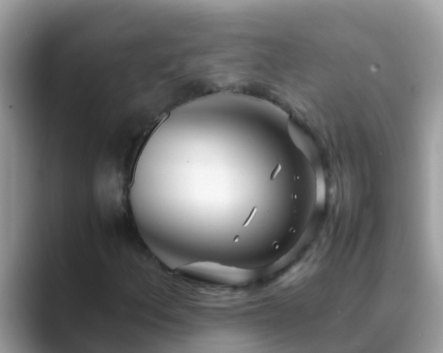 X0000089891156200707051223