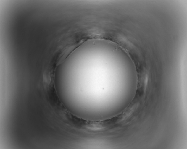 X0000089891157200707051223