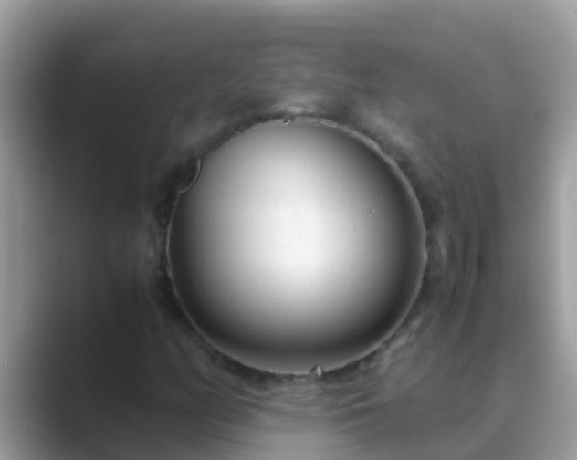 X0000089891158200707051223