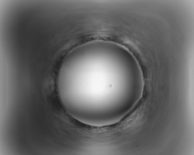 X0000089891159200707051223