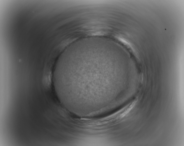 X0000089891161200707051223