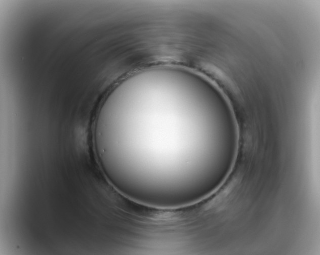 X0000089891162200707051223