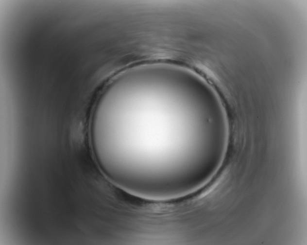 X0000089891163200707051223