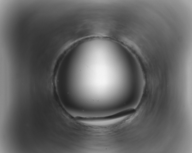 X0000089891168200707051223