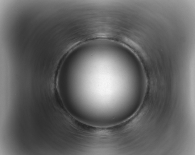 X0000089891170200707051223