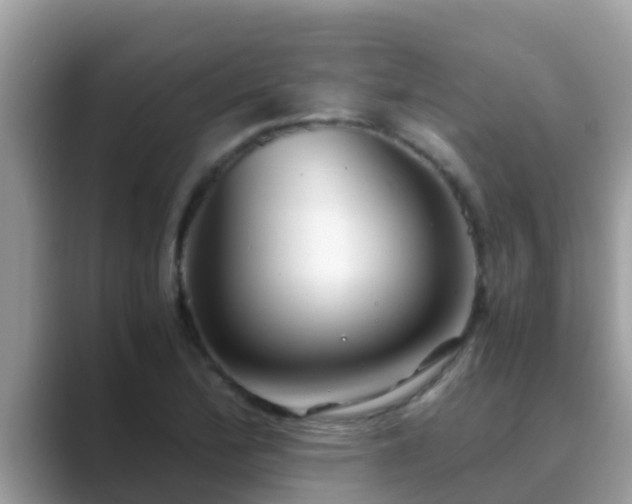 X0000089891172200707051223