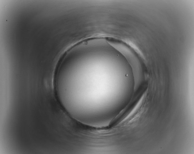 X0000089891173200707051223