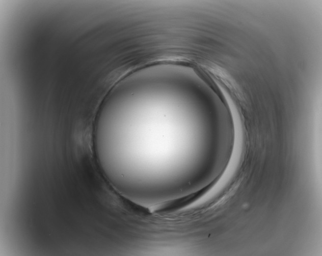 X0000089891177200707051223