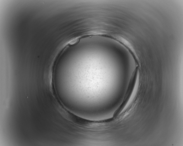 X0000089891179200707051223