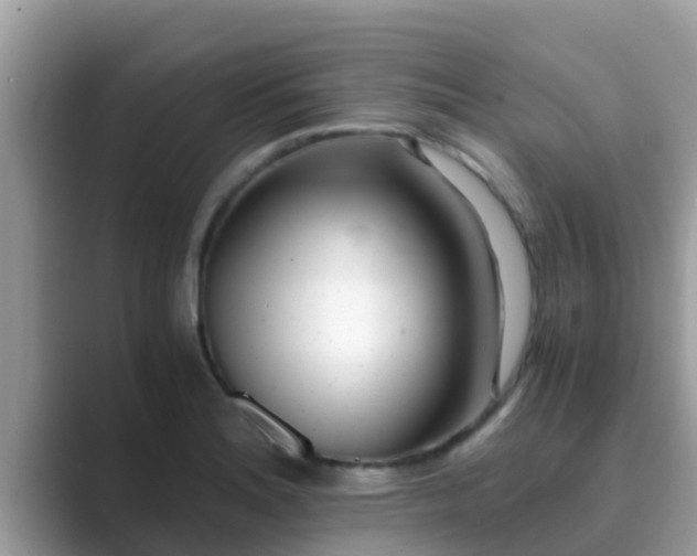 X0000089891180200707051223