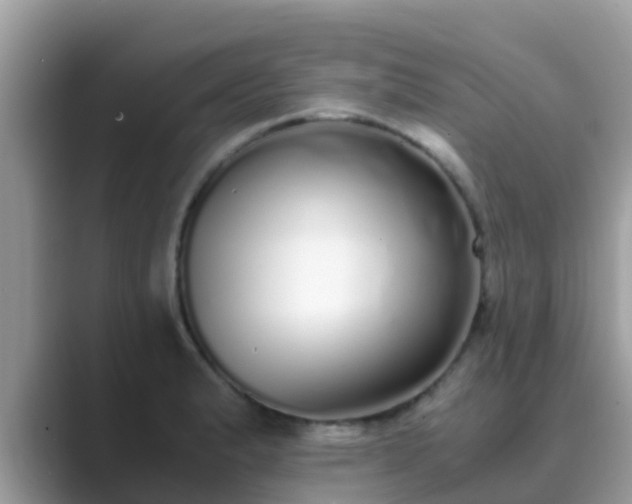 X0000089891183200707051223