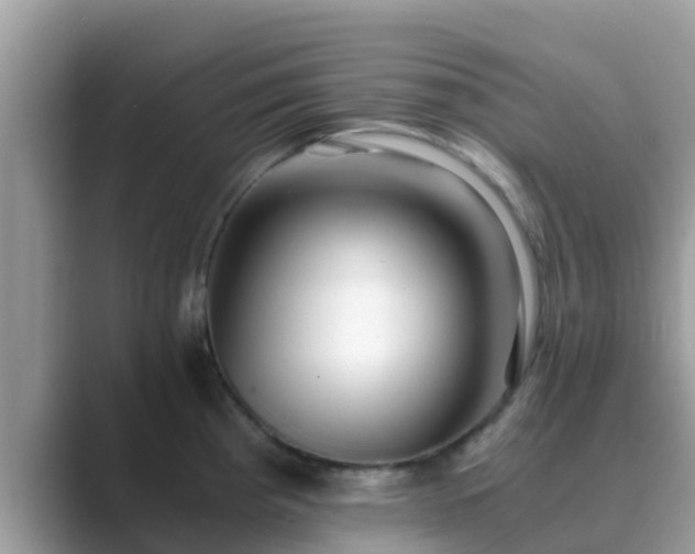 X0000089891193200707051223