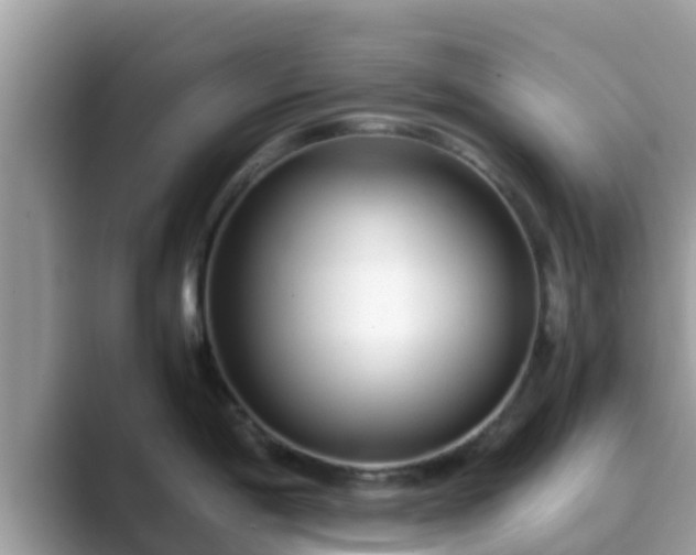 X0000089891198200707051222