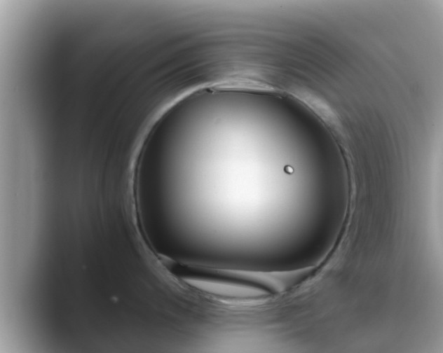 X0000089891200200707051222