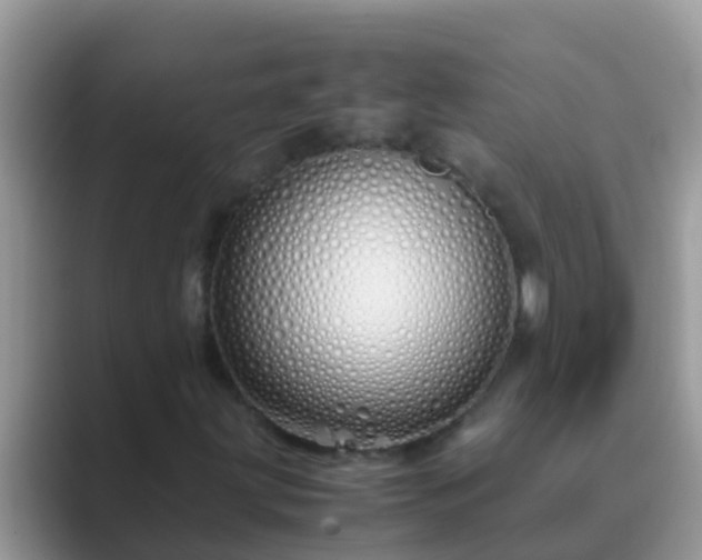 X0000089891203200707051222