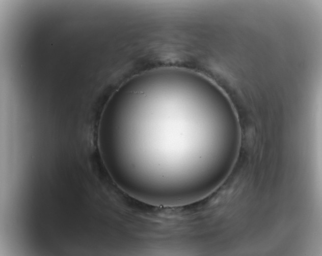X0000089891205200707051222